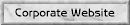 Corporate Website